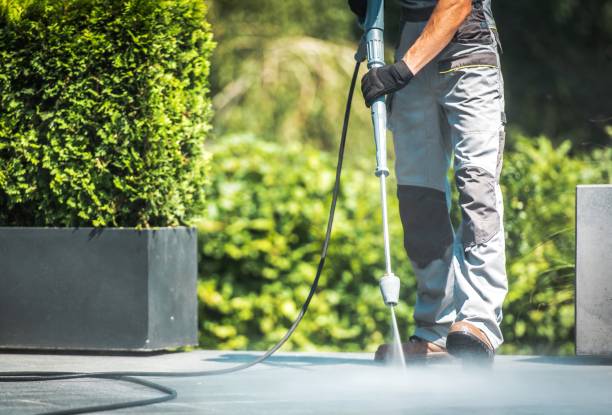 Best Driveway Pressure Washing  in Arnold, MD