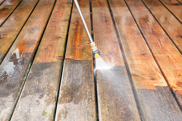 Best Building Exterior Washing  in Arnold, MD